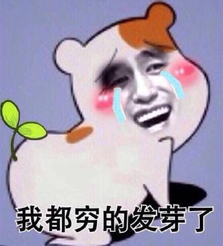 恶搞版无节操仓鼠管家表情包来啦