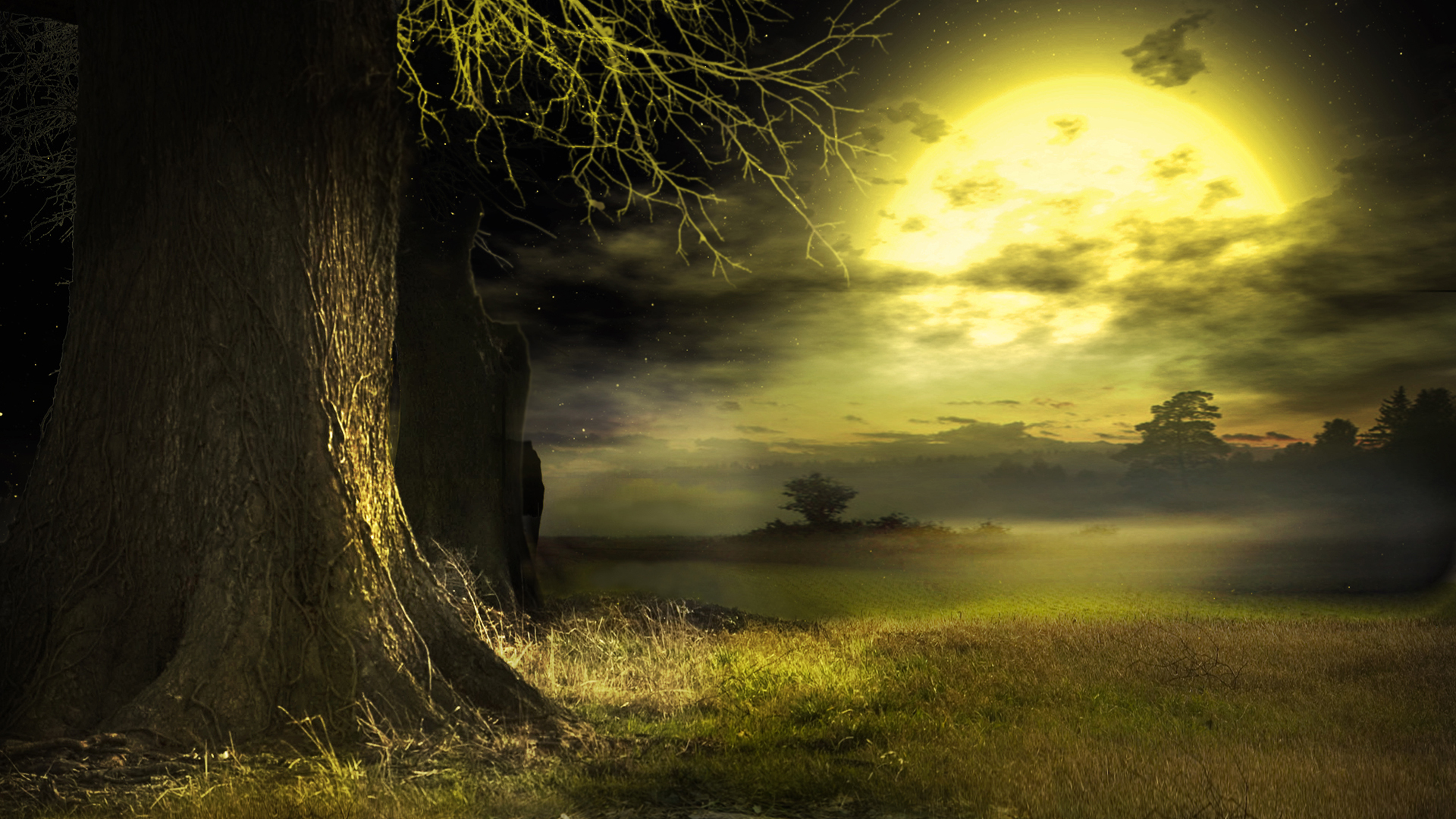 大树配圆月！氛围感拉满的夜晚风景壁纸合集