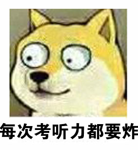 大眼doge表情包合集来啦