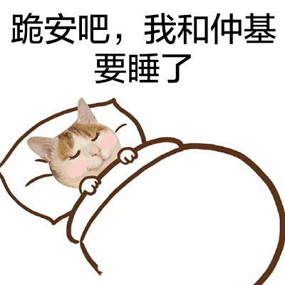 猫头宋仲基可爱表情包合集