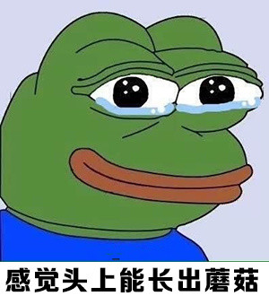 这套