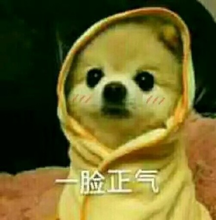 网友整理的宠物斗图表情包合集