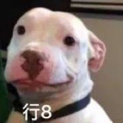 8月11日斗图表情包合集来啦