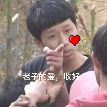 王境泽这套指人表情包，斗图时用简直绝了