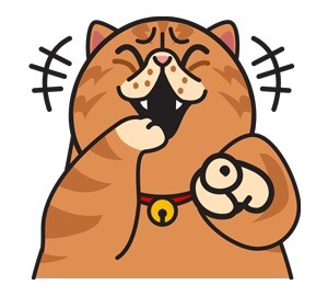 软萌胖胖猫咪表情包合集来啦