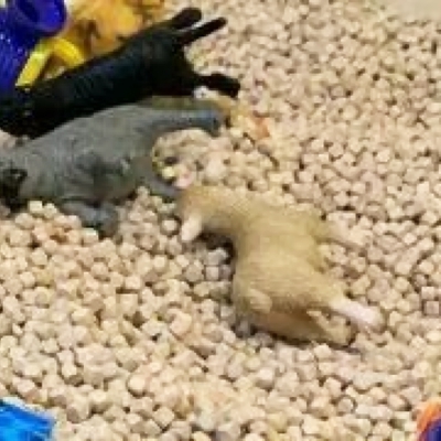 超有意思！对象不是人的小孩情侣头像来啦，26张可爱高清款