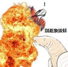 现在聊天都在用的皮皮虾表情包，快收好这套斗图素材