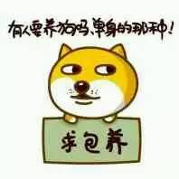 找人领养“单身狗”？这套表情包火了