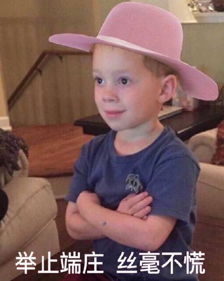 整理好的斗图表情包合集，聊天对战不用愁