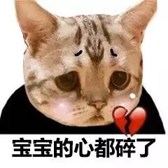 超治愈！这组猫咪头表情包太适合斗图了
