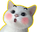 doge 喵喵表情包合集来啦