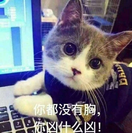 1月11日斗图表情包精选合集