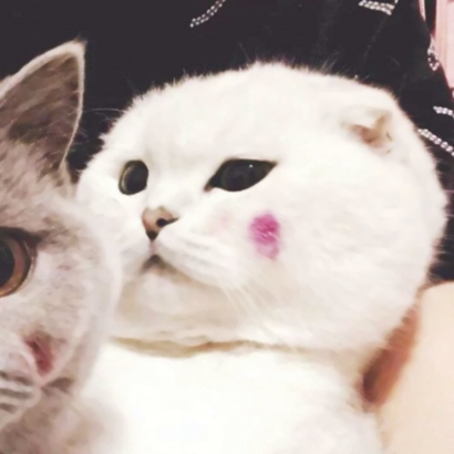 沙雕情侣头像合集 高清搞怪情头10张分享