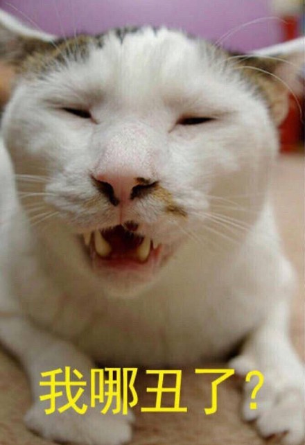 最近超火的无水印表情包合集