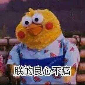 这套鹦鹉兄弟表情包火了！“你的良心不会痛吗”怼人斗图超好用