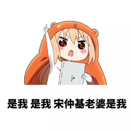 全是宋仲基的梗！这套表情包火出圈了