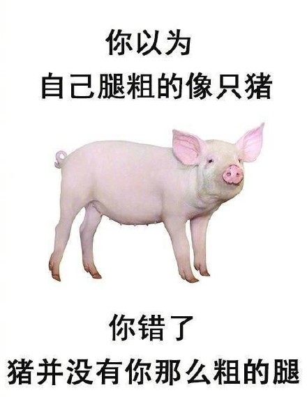 7月22日斗图表情精选合集