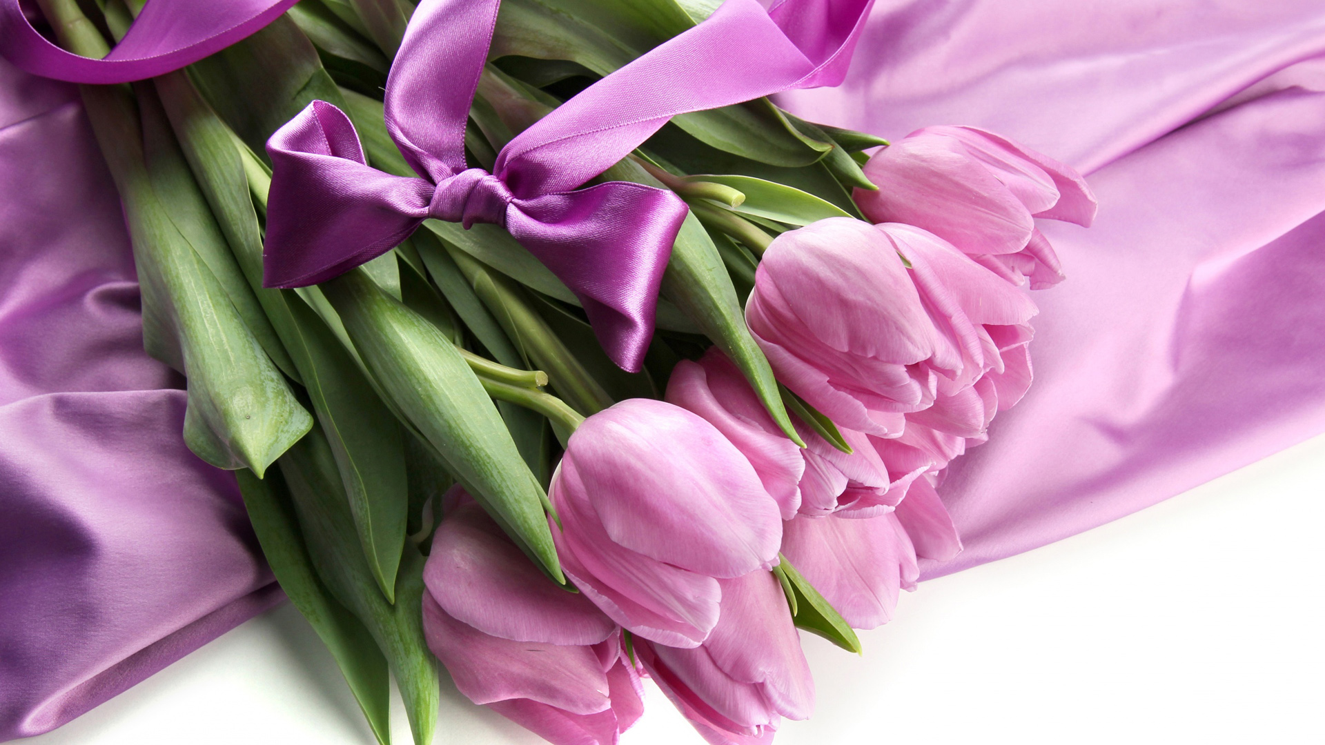 蝴蝶结郁金香高清壁纸来啦，多款尺寸任你选