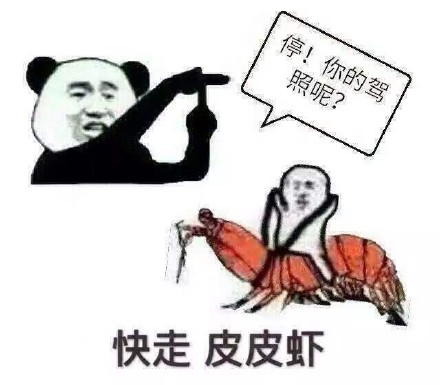 皮皮虾今天摆烂不出门啦！