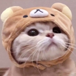 超萌可爱猫咪情侣头像 8张高清一对两张情头分享