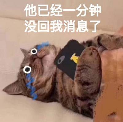 8月9日斗图表情包精选合集