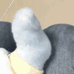 超有意思的嘚瑟jio表情包合集