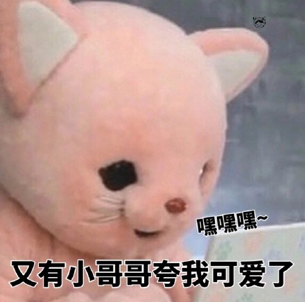 今日份斗图表情包合集来啦
