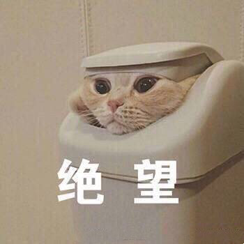 12月9日热门无水印表情包合集