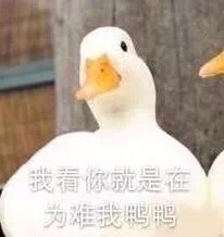 2月8日热门表情包合集来啦