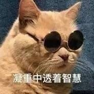 整理好的斗图表情包合集来了