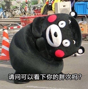 熊本熊发出“请问可以看下你的胖次吗？”的趣味提问