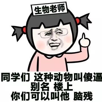 小学生版“先和新人睡一觉”表情包火了，配文“你们小点声”太有内味了