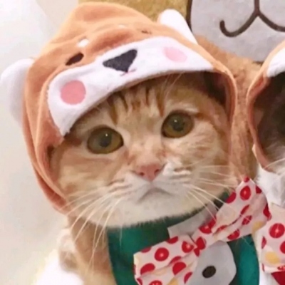 8组一左一右的可爱情侣头像，快和对象安排上