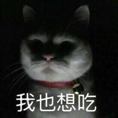 22组超可爱搞怪萌宠情头！一对两张高清图直接抱走