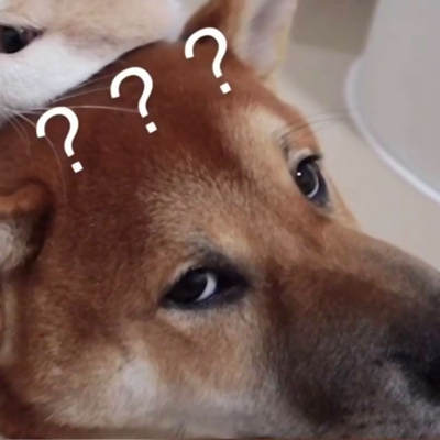 超萌！12张一猫一狗CP情侣头像，又甜又好笑