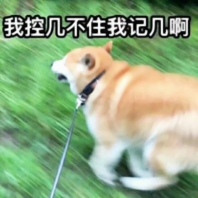 13组搞笑沙雕情侣头像合集 26张高清图随便用