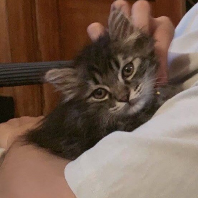 “女友不是人”系列情侣头像 高清16张合集