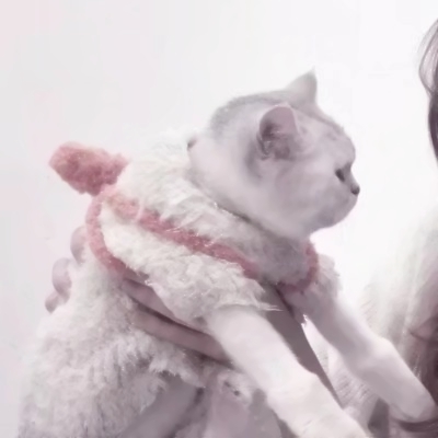 超有意思的对象非人情头！27张情侣头像合集来了