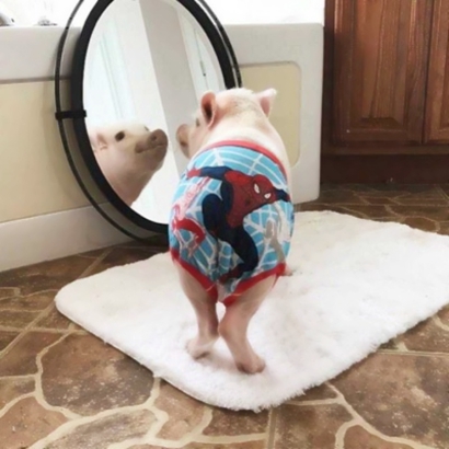 34组可爱风QQ情侣头像 一对两张直接存