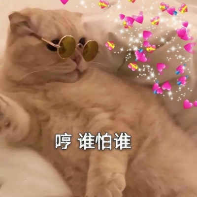 搞怪动物情侣头像来啦！带字创意款共12张高清图