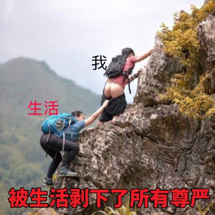 8月11日斗图表情包合集来啦