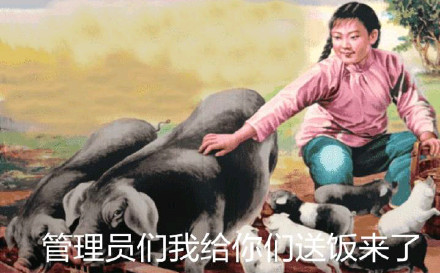 群聊撕逼斗图不用愁！无水印表情包合集来啦
