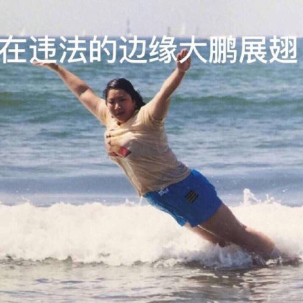 11月24日热门斗图表情包合集