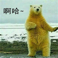 娘子啊哈搞笑情侣头像！14张超有意思的情头合集