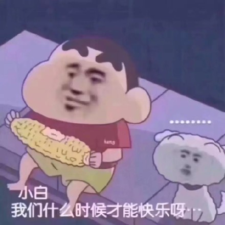 11月23日斗图表情包精选合集