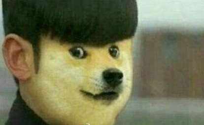 聊天斗图必备！无处不在的Doge表情包合集