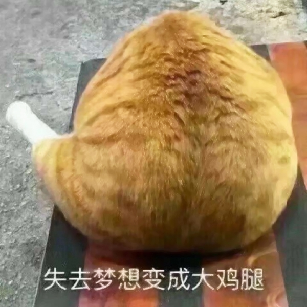 14张搞怪猫狗情侣头像 搞笑又可爱的高清素材
