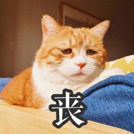 满脸写着高兴的反差感表情包来啦