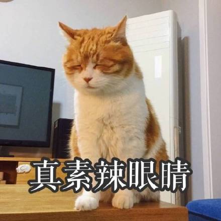 满脸写着高兴的反差感表情包来啦