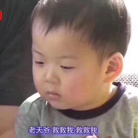 11月18日热门斗图表情包合集